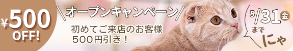 キャンペーン