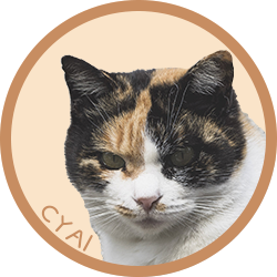 猫/チャイ