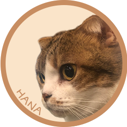 猫/ハナ